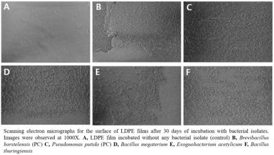 저자극/고활성 플라즈마를 활용한 미생물의 폐플라스틱 분해 가속화 연구